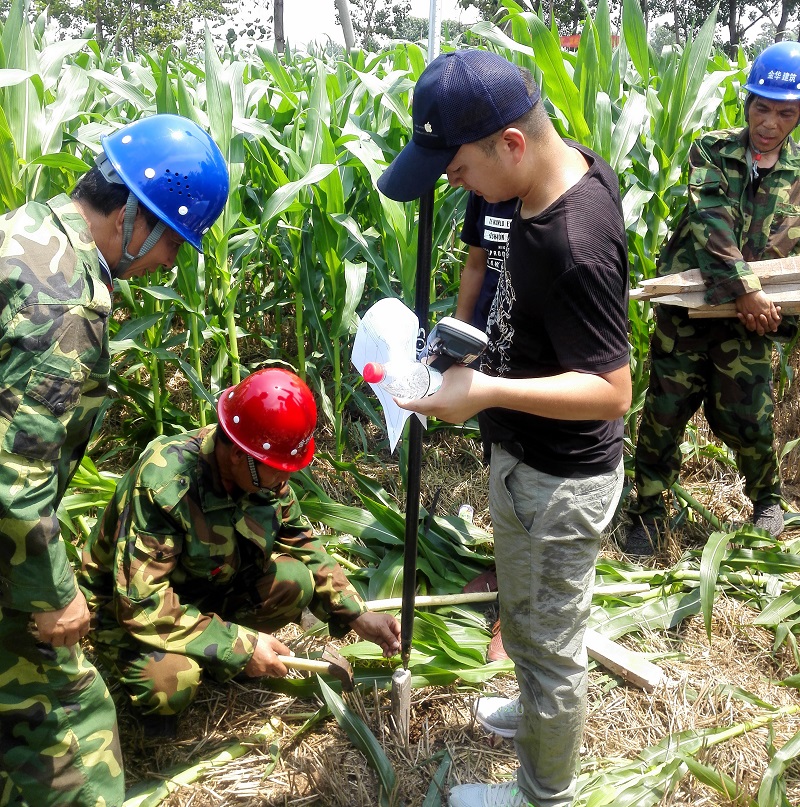 睢縣國道G343項目工程征地拆遷測量放線工作全面啟動.jpg